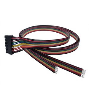 Cabo Personalizado para Computador com Conector Molex Micro-fit 3.0 de 24 Pinos (2x12 Pinos), 1000MM, com Fio Desencapado, PVC e Ponta Estanhada - Product Image 1