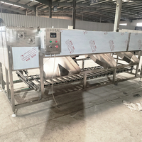 Automatische roller sorteermachine voor citroenen, uien, kersentomaten, wortelgroenten en andere groenten op basis van maat.