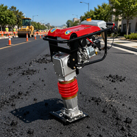 Compacteur de sol à moteur diesel 70 kg 5,5 CV, vente directe usine, machine vibrante à piler la terre de Chine