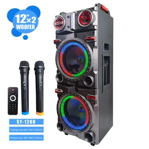 Double 12 inch DJ System Karaoke Party Trolley Subwoofer Speaker With Display Screen and Two MIc
