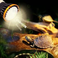 Ampoule LED UVB 3W pour reptiles, UVA UVB, pour tortue, lézard, terrarium, basking