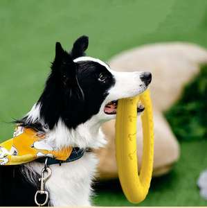EVA Eco-vriendelijk hondenspeelgoed, kauwbestendig, tegen verveling, voor grote honden (Border Collie Golden Retriever Puppy) Model LH-1 - Product Image 2