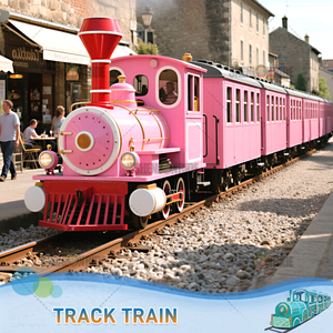 Train populaire de voie de tour de parc d'attractions avec la couleur adaptée aux besoins du client - Product Image 5