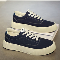 Zapatos Casuales Transpirables de Lona para Hombre, Talla Grande 48, con Cordones, Modernos, con Suela Gruesa, Venta al Por Mayor
