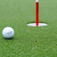 Hochwertiger tragbarer 12-mm-Panorama-künstlicher Golf teppich Professional Putting Green für den Innen-Badminton platz Hinterhof