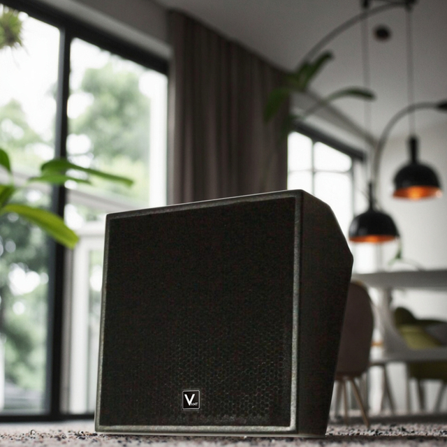 DM0820 Full PA System Set Church Cinema 5.1 Stereo Surround Sound Home Living Room Wall-Mounted for Speakers 300W Black