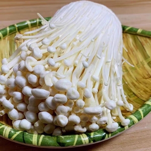 Detan Vendu toute l'année roun champignon frais Origine Jamur Enoki de Chine - Product Image 5