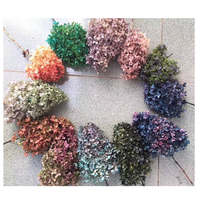 Hortensia de tour artificielle de fleur naturelle le plus populaire avec tige pour décoration de mariage Hortensias conservés