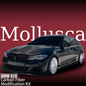 Kit de Modificación de Fibra de Carbono para BMW Serie 3 G20 Estilo Early Stage: Lip Delantero, Difusor Trasero, Faldones Laterales, Spoiler y Parrilla Delantera - Product Image 1