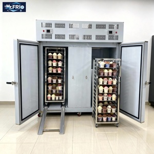 Congelador Instantáneo de Enfriamiento Rápido, Fácil de Mover, Bajo Costo de Mantenimiento, Diseño para Mariscos, Gelato, Snacks y Comidas, Operación Plug-and-Play - Product Image 1