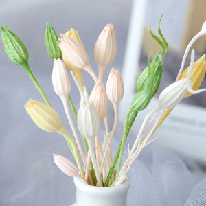 Carillon à vent naturel en forme de fleur et de fruit, artisanat, assorti d'un arrangement floral en bouteille flottante en herbe - Product Image 1