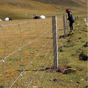 Recinzione Agricola Alta 6 Piedi con Pali in Acciaio PVC Adatti per Cani Lunghezza 50m Fornita Direttamente per Uso in Cantiere - Product Image 5