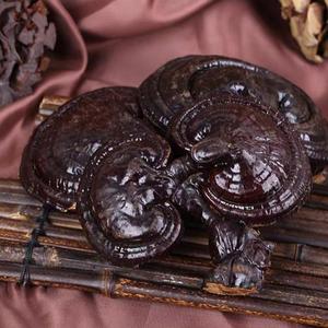 Té de Ganoderma Lucidum Silvestre Natural Chino, <span class=keywords><strong>Hongo</strong></span> <span class=keywords><strong>Reishi</strong></span> - Product Image 4