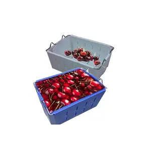 Stapelende Kersenprullenbakken Corfluit Plastic Oogstmanden Dozen Landbouwfruit Plukcontainer Lug Box