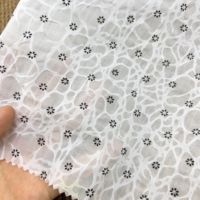 Tissu en coton peigné Salt Shrink infroissable à pois floraux 80 g/m² pour vêtements d'enfants et chemises 50 pouces