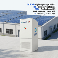 Sistema de Almacenamiento de Energía en Contenedor de 261 kWh con Refrigeración por Aire BESS para Reducción de Picos de Consumo y Arbitraje de Horario de Operación (TOU)