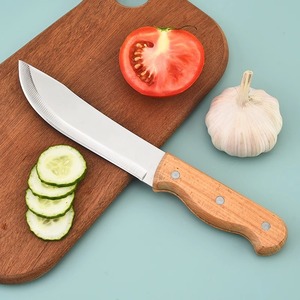 Fengzhifeng Stainless Steel Fruit Knife 6-7.9 In Wooden Handle Durable Kitchen Knife For Vegetables And Fruits - Product Image 1