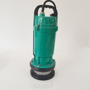 Pompe à eau centrifuge submersible auto-amorçante Qdx Landis avec boîtier en fonte pour l'irrigation agricole - Product Image 5