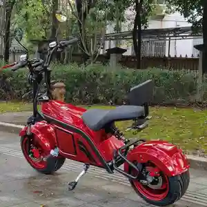 Hot Electric Motorcycle,Fat Wheel Basic Model Without EEC Citycoco Electric Motorcycle