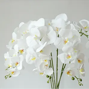 בסיטונאות 3d לבן סחלב-2020 חדש חתונת בית דקורטיבי פרח לבן מזויף משי Phalaenopsis סחלבים פרח 3D הדפסת אמיתי מגע לטקס מלאכותי סחלבים