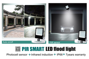 Từ xa IR & PIR Detector LED Flood Lamp 30/60/90 độ góc hẹp 100 Watt 50 Watt 35 watt 140lm/W Ra80 bên ngoài lịch thi đấu - Product Image 6