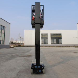 Instalación de Equipos de Gimnasio: Elevador de Mástil Vertical - Product Image 4