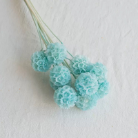 Scabiosa séchée de haute qualité, 5 tiges, rose et blanc, feuillage Pristimera Windmill préservé, pour décoration de mariage et de maison