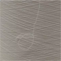 Fil DTY 150D/48F blanc, haute ténacité, SD SIM NIM 150/144F, polyester brut, Poy recouvert de spandex pour le tricot