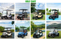 Voiturette de golf électrique intelligente, chariot de chasse pliable, roadster de plage, batterie au lithium, 3-4 places, autonomie de 90 km, service DDP