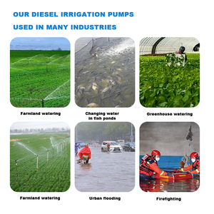 <span class=keywords><strong>Bomba</strong></span> de Agua Móvil Profesional para Camiones, de Hierro Fundido, de Alta Presión, con Doble Succión, para Tratamiento de Agua de Mar e Irrigación - Product Image 5