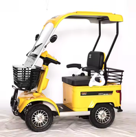 Scooter de mobilité électrique 2 places Minibus avec toit de voiturette de golf personnalisé Nouveau design 800W Digital Smart EBike Moteur de moyeu arrière à vendre