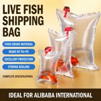 Sac de transport portable pour poissons vivants pour la pêche en extérieur 20*40, sac de stockage pour poissons frais de tournoi avec compatibilité oxygène, sac étanche