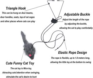 Egzersiz için yavru kapı pencere kedi kafes Pet kedi yusufçuk fareler oyuncak kediler oyuncaklar Teaser asılı - Product Image 2