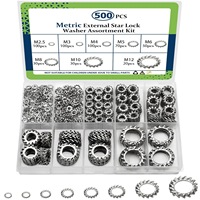 500-teiliges Sortiment an externen Sternsicherungsscheiben aus Edelstahl 304, metrisch M2,5-M12, Anti-Lose-Zahn-Dichtung