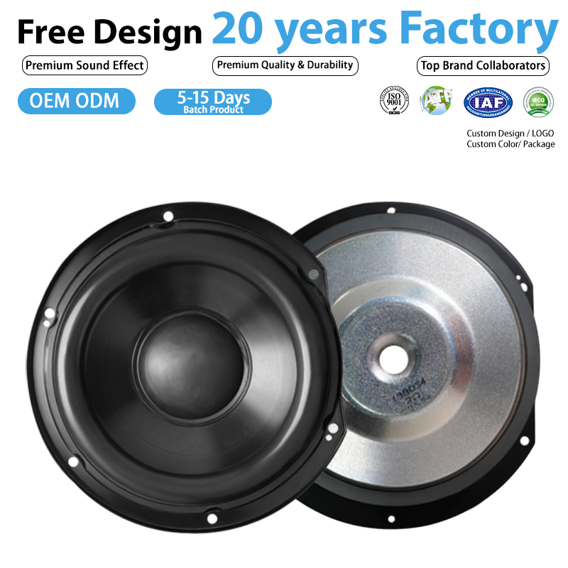 100 300W Two Way Subwoofer Speaker