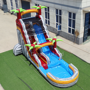 Jeux de glissades aquatiques gonflables Dolphin, équipement de parc de trampoline, glissade d'évasion, aire de jeux gonflable, château gonflable pour enfants - Product Image 4