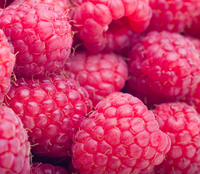 Fruta de bayas liofilizada a granel Frambuesa liofilizada sin aditivos sin azúcar FD Fruta de frambuesa crujiente