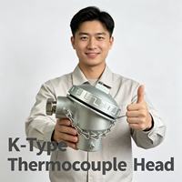 Tête de thermocouple de type K, étanche IP67, pour la mesure de température industrielle et l'installation extérieure en milieu industriel