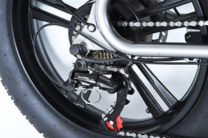 Vélo électrique tout-terrain Disiyuan Super Powerful S9 Pro Long Range Dirt Mountain 73 Fat Tire E Bike S9 STD S9 Plus - Product Image 4