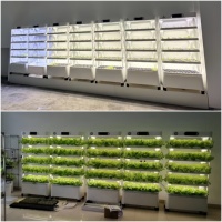 Tour de culture hydroponique verticale intérieure avec lumières de croissance des plantes LED Système hydroponique intelligent pour la maison