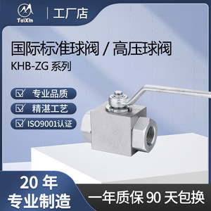 วาล์วบอลแรงดันสูง TaiXin KHB2K-ZG ผลิตจากเหล็กกล้าคาร์บอน แบบปรับค่าได้ด้วยมือ สำหรับน้ำ 700 psi - Product Image 4