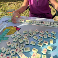 Set Mahjong Akrilik Elegan Motif Pantai Amerika, Ubin Berukir, Warna Kustom, Mahjong Mewah untuk Ritel Butik