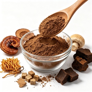Marca Privada 100% Fructífero 10 en 1 Mezcla Orgánica de Reishi, Cordyceps, Melena de León y Chaga Extracto de Hongos en Polvo Venta al por Mayor a Granel - Product Image 3