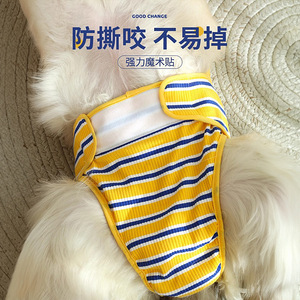 Pantalon décontracté toutes saisons en coton et élasthanne pour grand <span class=keywords><strong>chien</strong></span> femelle (Labrador, Golden Retriever), anti-mise en gestation et anti-mestruation - Product Image 3