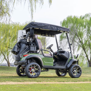 Produits les plus vendus : Chariot de golf motorisé biplace pour manoirs et centres de villégiature en zone rurale - Product Image 2