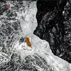 โต๊ะรับประทานอาหารคริสตัลแพลทินัมใสไม่เรียบดีไซน์พิเศษทันสมัยสำหรับร้านอาหารสำนักงานโรงแรม - Product Image 3