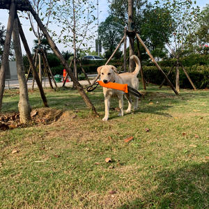 Jouet de remorquage de morsure de chien jouet à tirer bleu durable avec 2 poignées douces et solides oreiller de morsure en nylon résistant pour les chiens de petite à moyenne taille - Product Image 2