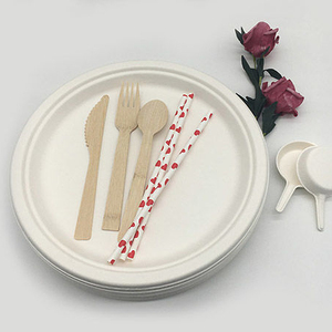 Màu Xanh Lá Cây Ô Liu Bán Buôn Ủ Bột Giấy Đảng Giấy Tấm 100% Phân Hủy Sinh Học Dùng Một Lần Mía Bã Mía Bộ Đồ Ăn - Product Image 6