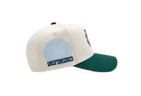 Gorra de Béisbol Personalizada de Algodón Puro, Gorra de Camionero para Hombre, Informal para Exteriores, Multicolor, Bordada con Logotipo Impreso