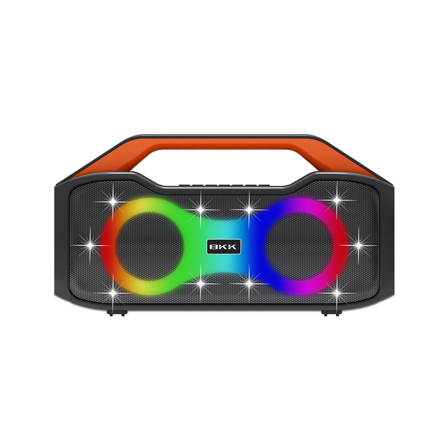 Factory Price 4 Inch Dual 100 Watts Portable Karaoke Speakers for Home and Outdoor Big Power Boombox (B 49)